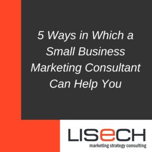 lisech,marketing strategy consulting, consultants